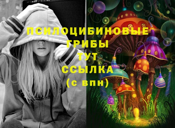 каннабис Арсеньев