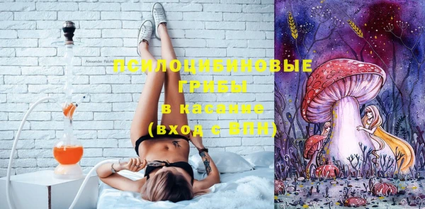 каннабис Аркадак