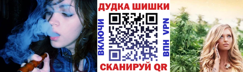 где продают наркотики  Сольвычегодск  Бошки Шишки семена 